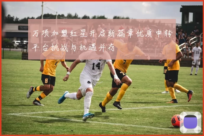万项加盟红星开启新篇章优质中转平台挑战与机遇并存